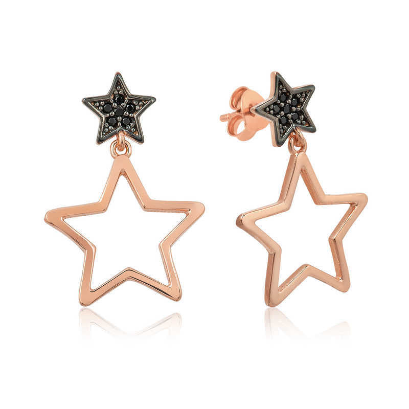 Silver Star Earrings image 0