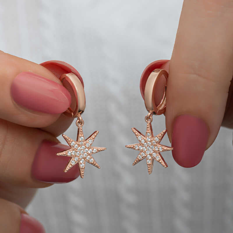 Silver Pole Star Earrings image 0