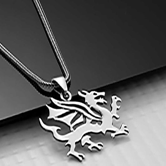 Silver Dragon Men's Necklace image 0