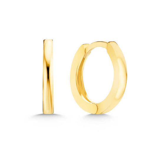 Silver Gold Hoop Women's Earrings image 0